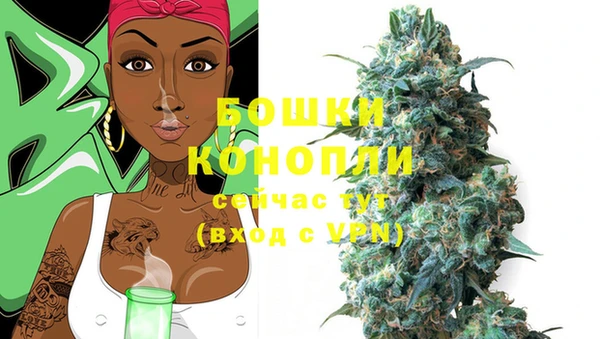 шишки Пестово