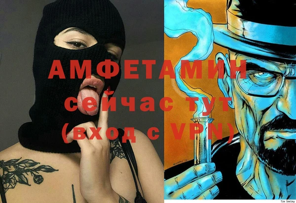 прущие грибы Абинск