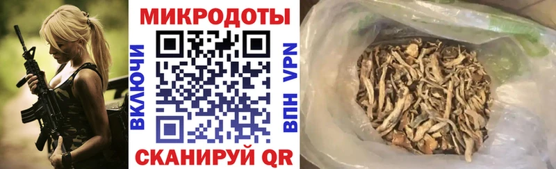 где найти   Сатка  Псилоцибиновые грибы мицелий 